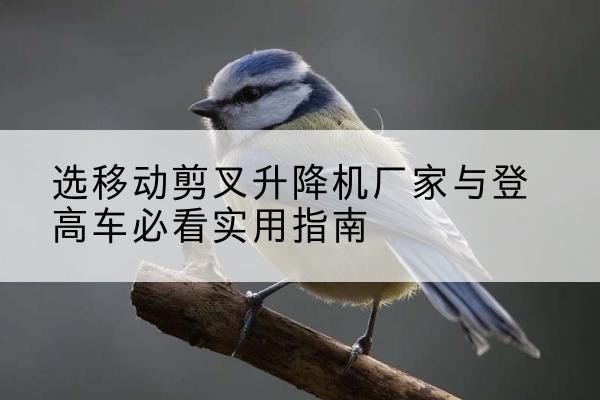封丘电动升降机厂家-选移动剪叉升降机厂家与登高车必看实用指南