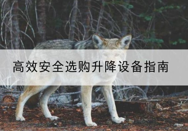 封丘升降货梯厂家推荐-*安全选购升降设备指南